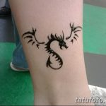 снимка драконова къна от 02.08.2017 №085 - Драконова къна_