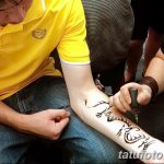 снимка драконова къна от 02.08.2017 №086 - Драконова къна_