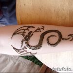 снимка драконова къна от 02.08.2017 №087 - Драконова къна_