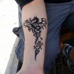 снимка драконова къна от 02.08.2017 №089 - Драконова къна_