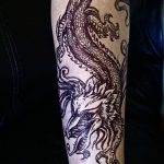 снимка драконова къна от 08/02/2017 No 093 - Драконова къна_