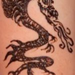 снимка драконова къна от 08/02/2017 No 095 - Драконова къна_