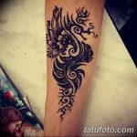 снимка драконова къна от 02.02.2017 г. No 099 - Драконова къна_