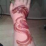 снимка драконова къна от 08/02/2017 No 102 - Драконова къна_