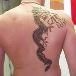 снимка драконова къна от 08/02/2017 No 103 - Драконова къна_