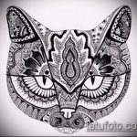 Zdjęcie henna kota - mehendi - 12062017 - przykład - 004 Kocia henna - mehendi