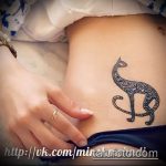 Zdjęcie henna kota - mehendi - 12062017 - przykład - 008 Kocia henna - mehendi
