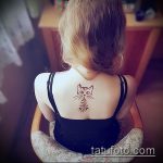 Zdjęcie henna kota - mehendi - 12062017 - przykład - 013 Kocia henna - mehendi