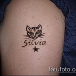 Zdjęcie henna kota - mehendi - 12062017 - przykład - 015 Kocia henna - mehendi