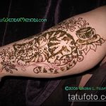 Zdjęcie henna kota - mehendi - 12062017 - przykład - 016 Kocia henna - mehendi