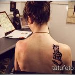 Zdjęcie henna kota - mehendi - 12062017 - przykład - 025 Kocia henna - mehendi