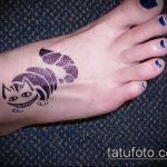 Zdjęcie henna kota - mehendi - 12062017 - przykład - 026 Kocia henna - mehendi