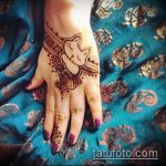 Zdjęcie henna kota - mehendi - 12062017 - przykład - 028 Kocia henna - mehendi