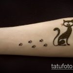 Zdjęcie henna kota - mehendi - 12062017 - przykład - 031 Kocia henna - mehendi