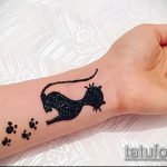 Zdjęcie henna kota - mehendi - 12062017 - przykład - 036 Kocia henna - mehendi