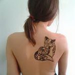 снимка на мехенди лисица от 01.08.2017 г. No 020 - Мехенди лисица_