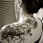 صورة موقع قران على الكتف 02.02.2020 №008 - مهندي على الكتف-