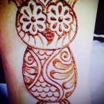 mehendi Eule auf seinem Bein - die Möglichkeiten der temporären Henna -Tattoo auf 05082016 2060 tatufoto.ru