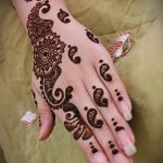 mehendi Peacock main - Photos de tatouage au henné temporaire 1140 tatufoto.ru