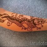 mehendi Drachen auf dem Arm - eine temporäre Henna -Tattoo Foto 1072 tatufoto.ru