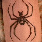 foto Mehendi edderkoppen fra 03.12.2017 №002 - Mehendi edderkoppen - 4236234