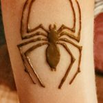 foto Mehendi edderkoppen fra 03.12.2017 №007 - Mehendi edderkoppen -