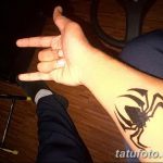 foto Mehendi edderkoppen fra 03.12.2017 №009 - Mehendi edderkoppen -