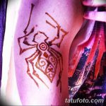 foto Mehendi edderkoppen fra 03.12.2017 №011 - Mehendi edderkoppen -