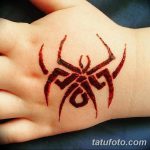 foto Mehendi edderkoppen fra 03.12.2017 №016 - Mehendi edderkoppen -