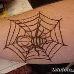 foto af Mehendi edderkoppen fra 03.12.2017 №022 - Mehendi edderkoppen -