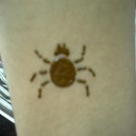 foto Mehendi edderkoppen fra 03.12.2017 №026 - Mehendi edderkoppen -