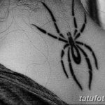 foto Mehendi edderkoppen fra 03.12.2017 №027 - Mehendi edderkoppen -