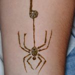 foto af Mehendi edderkoppen fra 03.12.2017 №031 - Mehendi edderkoppen -