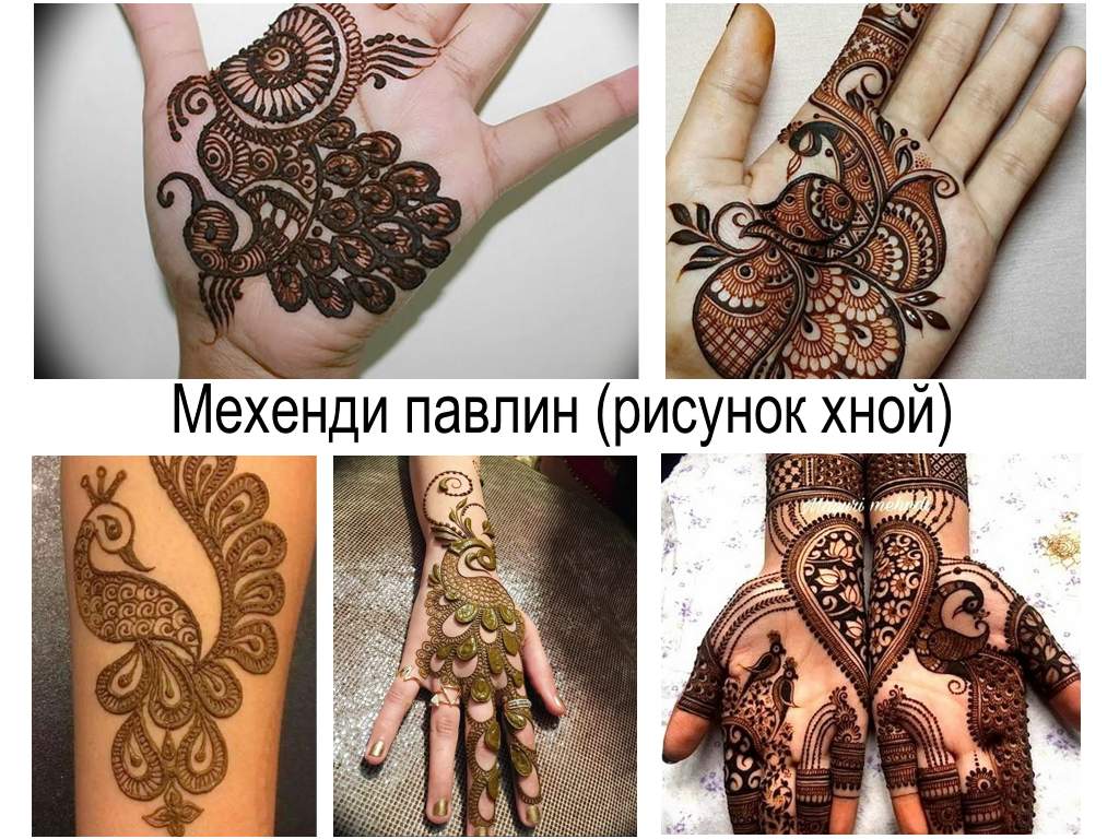 Mehendi paun (crtež kane) - značajke crteža i primjeri fotografija gotovih opcija