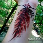 Снимка Перо Мехенди - 05062017 - пример - 066 Перо Мехенди