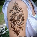 Снимка Перо Мехенди - 05062017 - Пример - 008 Перо Мехенди