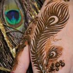 Снимка Перо Мехенди - 05062017 - пример - 011 Перо Мехенди