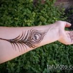 Снимка Перо Мехенди - 05062017 - Пример - 013 Перо Мехенди