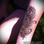 Снимка Перо Мехенди - 05062017 - пример - 014 Перо Мехенди