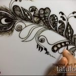 Снимка Перо Мехенди - 05062017 - Пример - 017 Перо Мехенди