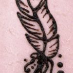 Снимка Перо Мехенди - 05062017 - пример - 019 Перо Мехенди 1231111