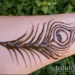 Снимка Перо Мехенди - 05062017 - Пример - 025 Перо Мехенди