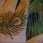 Снимка Перо Мехенди - 05062017 - Пример - 030 Перо Мехенди