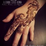 Снимка Перо Мехенди - 05062017 - Пример - 034 Перо Мехенди