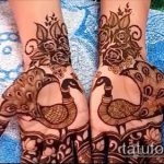 Снимка Перо Мехенди - 05062017 - пример - 041 Перо Мехенди