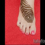 Снимка Перо Мехенди - 05062017 - пример - 042 Перо Мехенди