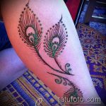 Снимка Перо Мехенди - 05062017 - Пример - 043 Перо Мехенди