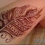 Снимка Перо Мехенди - 05062017 - Пример - 048 Перо Мехенди