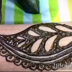 Снимка Перо Мехенди - 05062017 - Пример - 053 Перо Мехенди