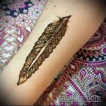 Снимка Перо Мехенди - 05062017 - Пример - 060 Перо Мехенди